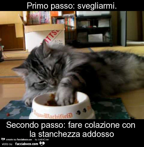 Primo passo: svegliarmi. Secondo passo: fare colazione con la stanchezza addosso