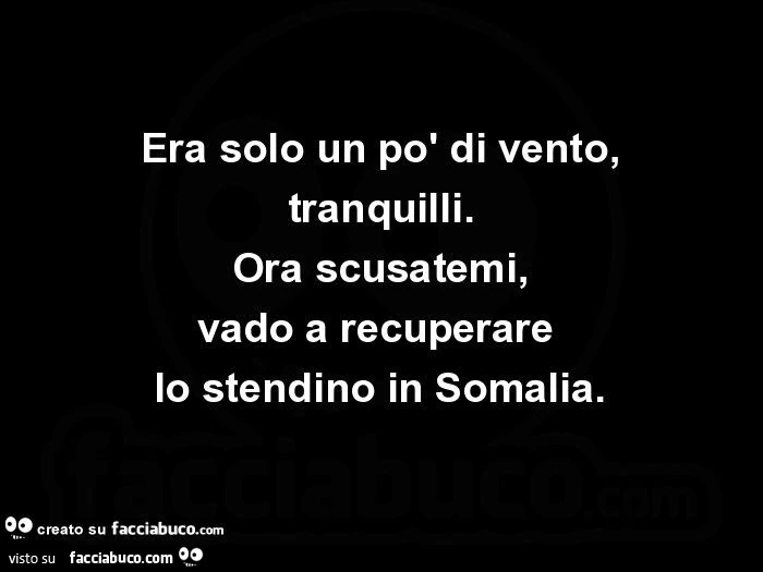 Era solo un po' di vento, tranquilli. Ora scusatemi, vado a recuperare lo stendino in somalia