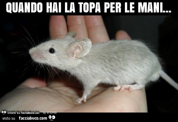 Quando hai la topa per le mani