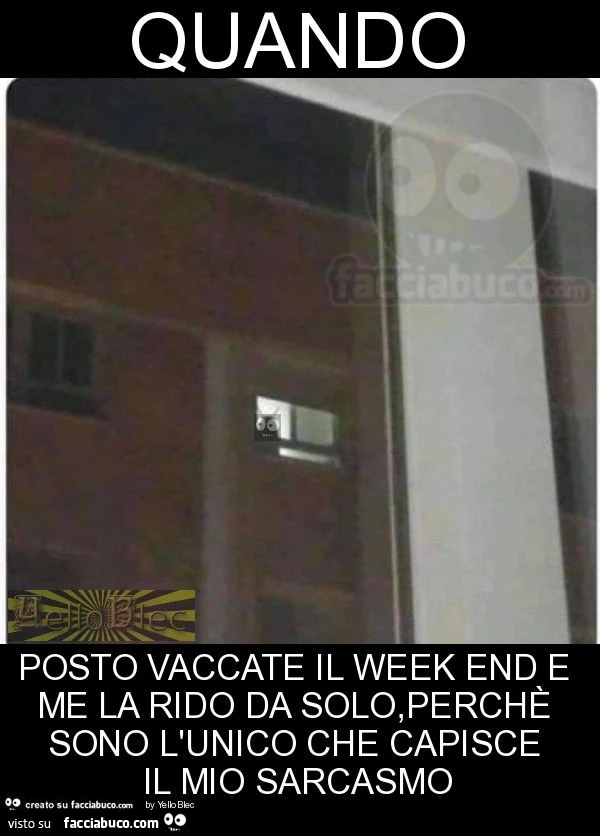 Quando posto vaccate il week end e me la rido da solo, perchè sono l'unico che capisce il mio sarcasmo