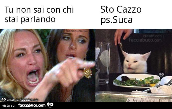 Tu non sai con chi stai parlando. Sto cazzo ps. Suca
