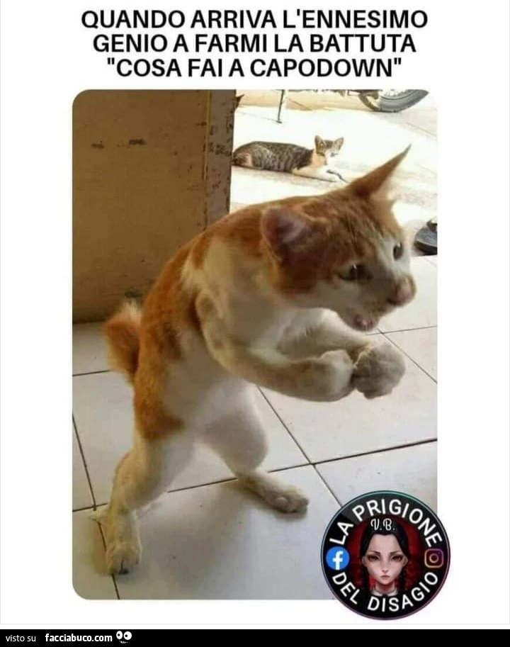 Quando arriva l'ennesimo genio a farmi la battuta cosa fai a capodown