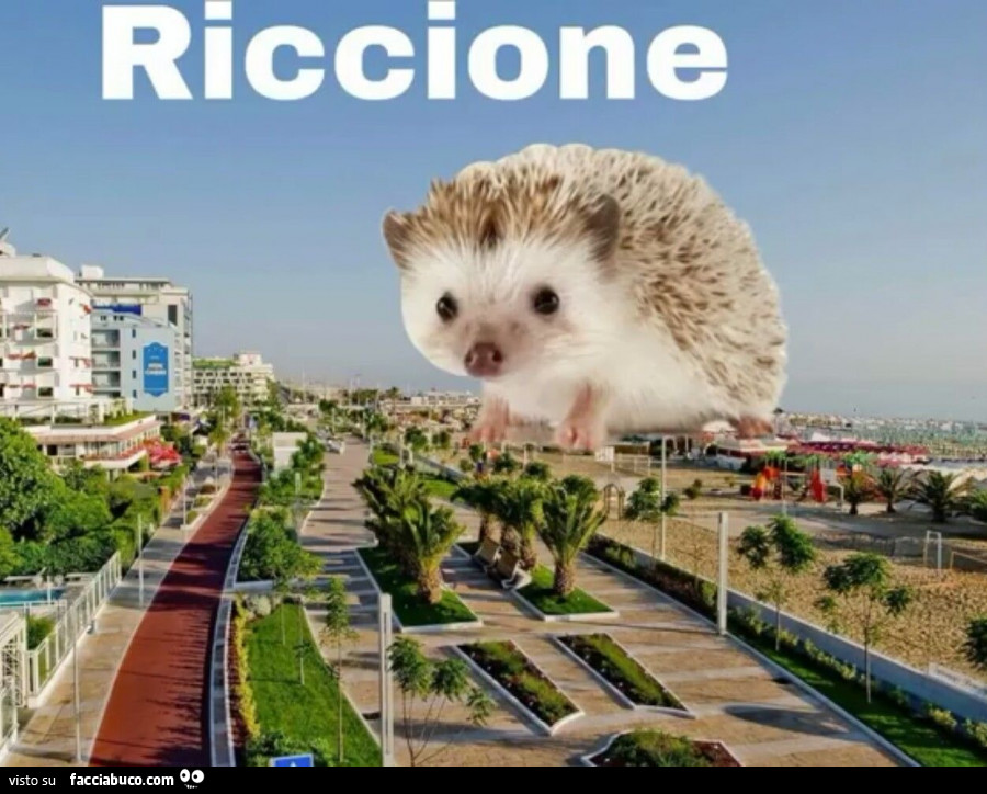 Riccio Riccione
