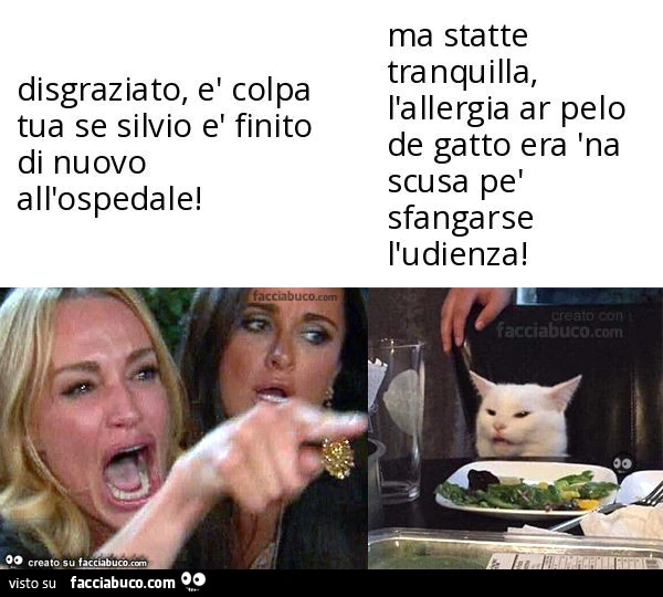 Disgraziato, è colpa tua se silvio è finito di nuovo all'ospedale! . Ma statte tranquilla, l'allergia ar pelo de gatto era 'na scusa pè sfangarse l'udienza