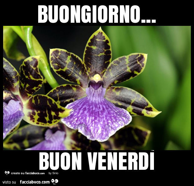 Buongiorno&hellip; buon venerdì