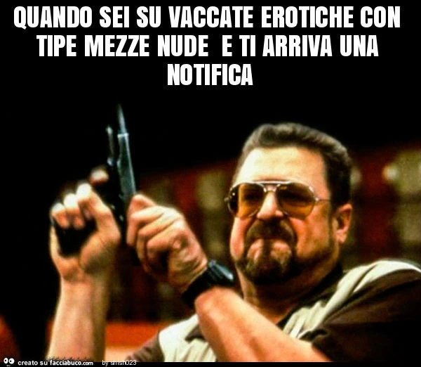 Quando sei su vaccate erotiche con tipe mezze nude e ti arriva una notifica