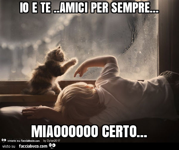 Io e te. Amici per sempre… miaoooooo certo