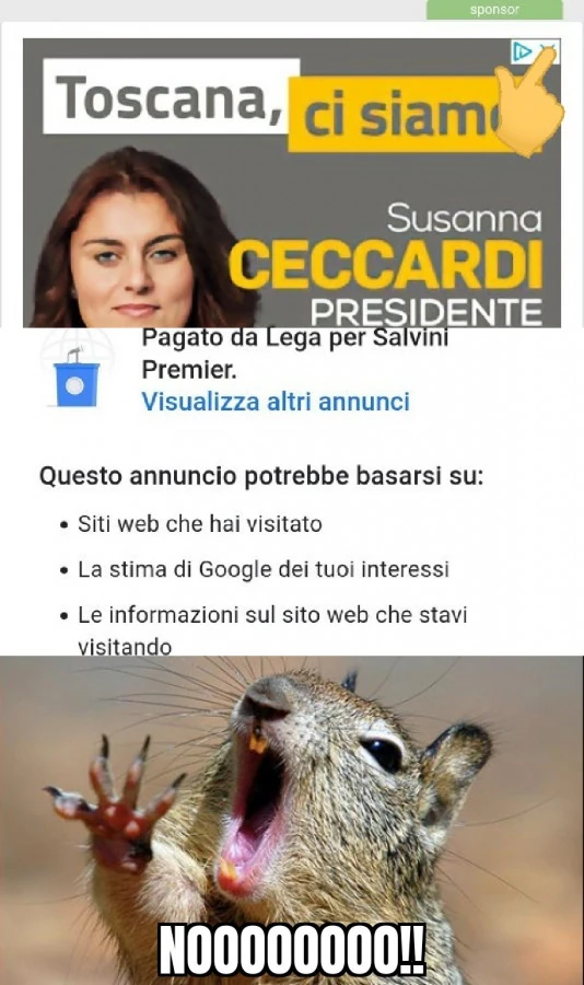 La ceccardi รจ ovunque