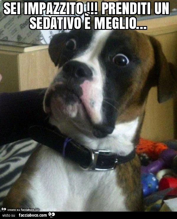 Vaccata