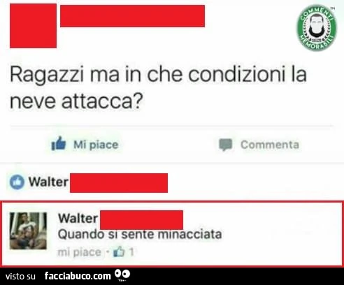 Ragazzi ma in che condizioni la neve attacca? Quando si sente minacciata
