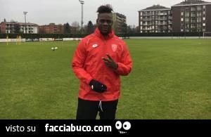 Balo