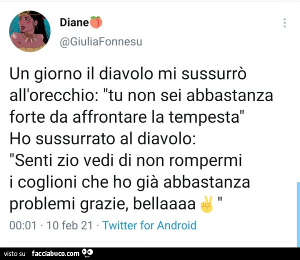 Un giorno il diavolo mi sussurrò all'orecchio: tu non sei abbastanza forte da affrontare la tempesta ho sussurrato al diavolo: senti zio vedi di non rompermi i coglioni che ho già abbastanza problemi grazie, bellaaaa