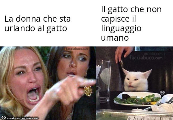 La donna che sta urlando al gatto. Il gatto che non capisce il linguaggio umano