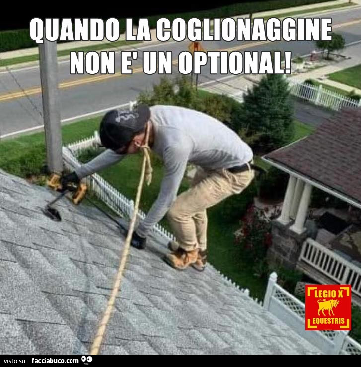 Quando la coglionaggine non è un optional