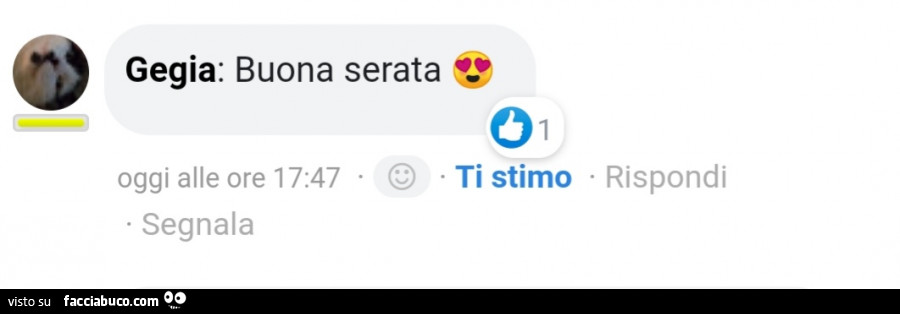 Gegia buona serata