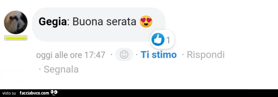 Gegia buona serata