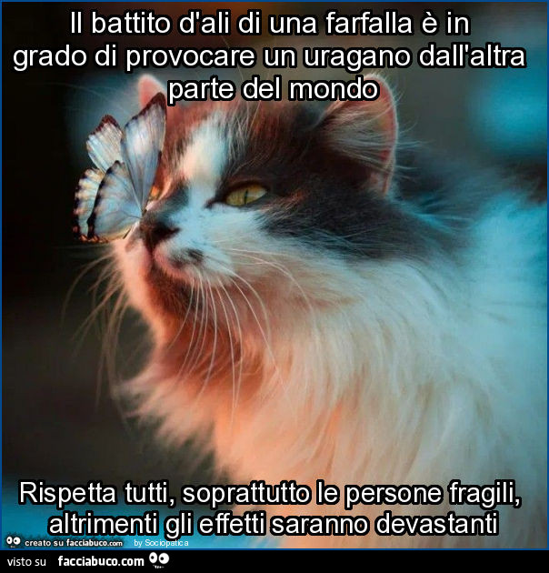Il battito d'ali di una farfalla è in grado di provocare un uragano dall'altra parte del mondo rispetta tutti, soprattutto le persone fragili, altrimenti gli effetti saranno devastanti