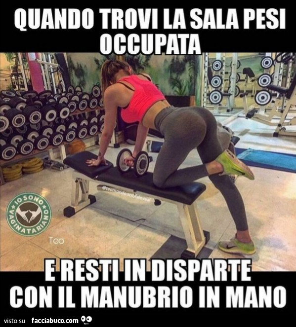 Vaccata