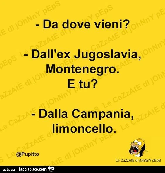 Da dove vieni? Dall'ex jugoslavia, montenegro. E tu? Dalla campania, limoncello