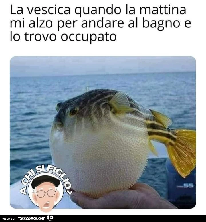 La vescica quando la mattina mi alzo per andare