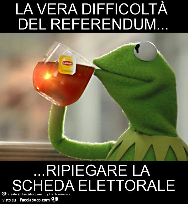 La vera difficoltà del referendum… ripiegare la scheda elettorale