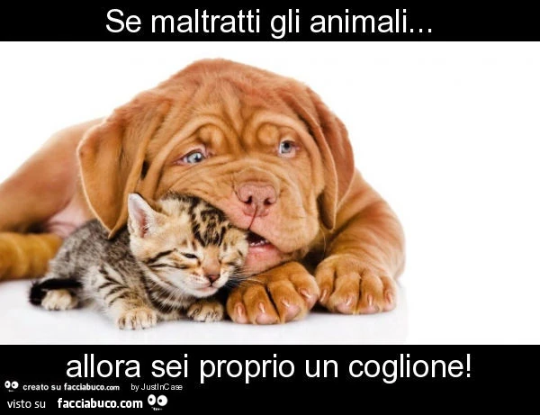 Se maltratti gli animali&hellip; allora sei proprio un coglione