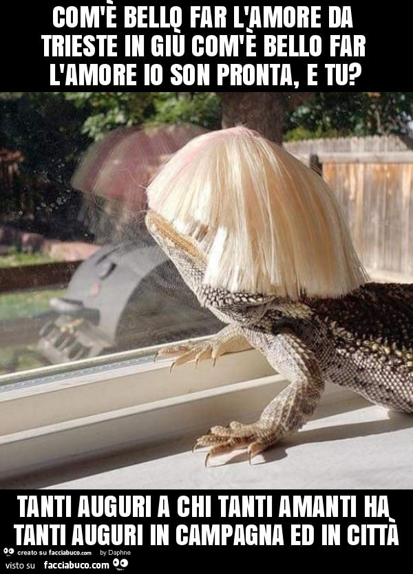 Com'è bello far l'amore da trieste in giù com'è bello far l'amore io son pronta, e tu? Tanti auguri a chi tanti amanti ha tanti auguri in campagna ed in città