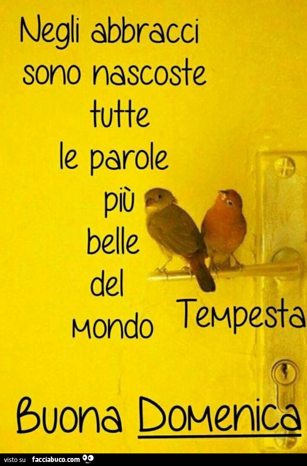 Negli abbracci sono nascoste tutte le parole più belle del mondo. Buona domenica