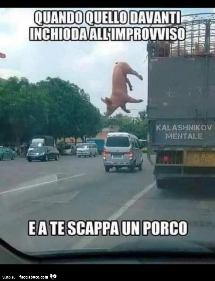 Vaccata
