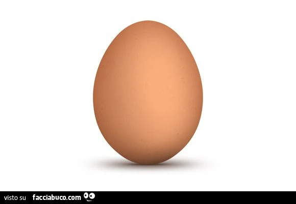 Uovo