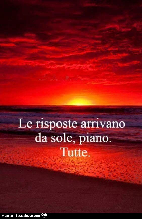 Le risposte arrivano da sole, piano. Tutte