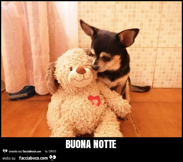 Buona notte