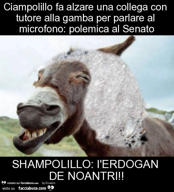 Ciampolillo fa alzare una collega con tutore alla gamba per parlare al microfono: polemica al senato shampolillo: l'erdogan de noantri