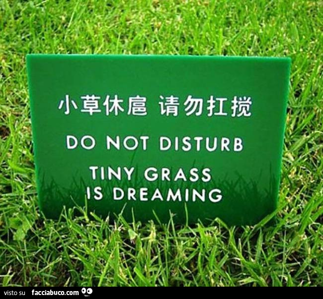Do not disturb tiny grass is dreaming