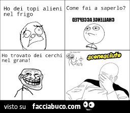 Ho dei topi alieni nel frigo. Come fai a saperlo? Ho trovato dei cerchi nel grana