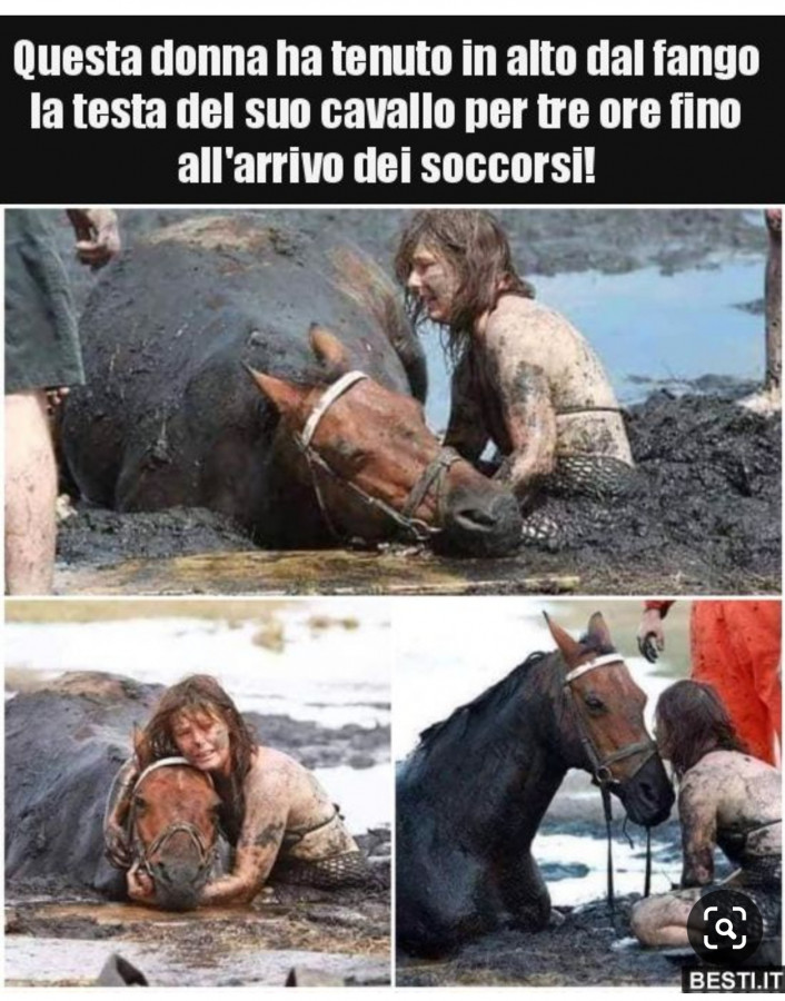 Donna salva cavallo