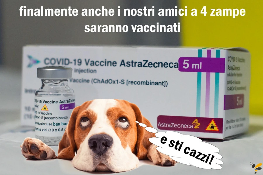 Vaccata