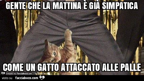 Gente che la mattina è già simpatica come un gatto attaccato alle palle