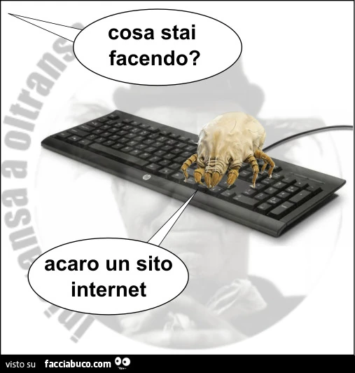 Cosa stai facendo? Acaro un sito internet