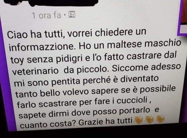 Cane da scastrare