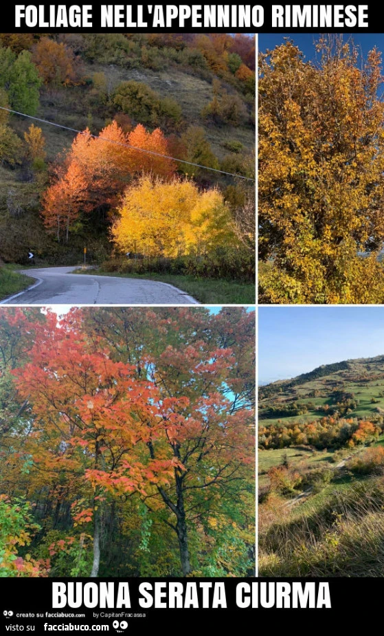 Foliage nell'appennino riminese buona serata ciurma