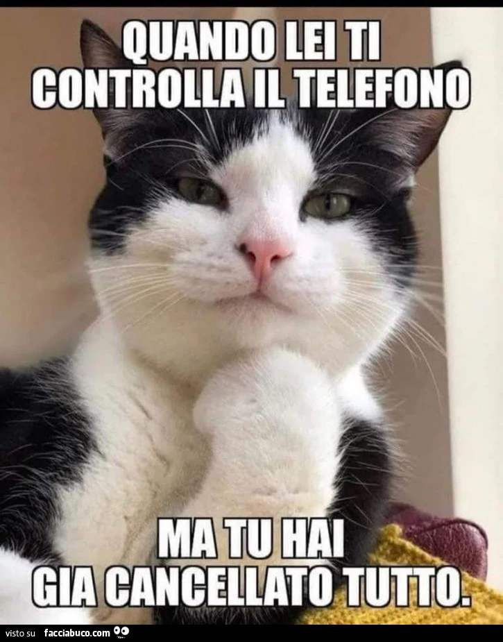 Vaccata