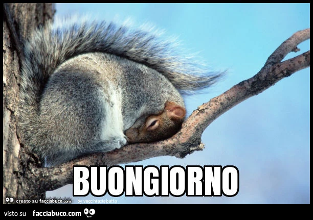 Cervicale