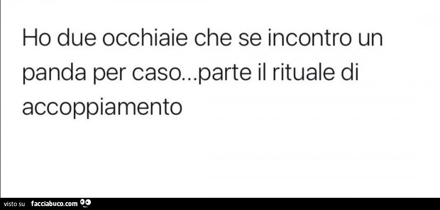 Ho due occhiaie che se incontro un panda per caso… parte il rituale di accoppiamento