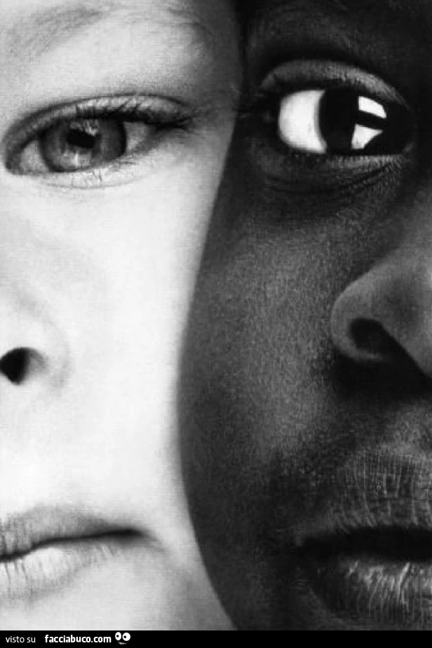 La diversità è la base su cui si costruisce la vera uguaglianza