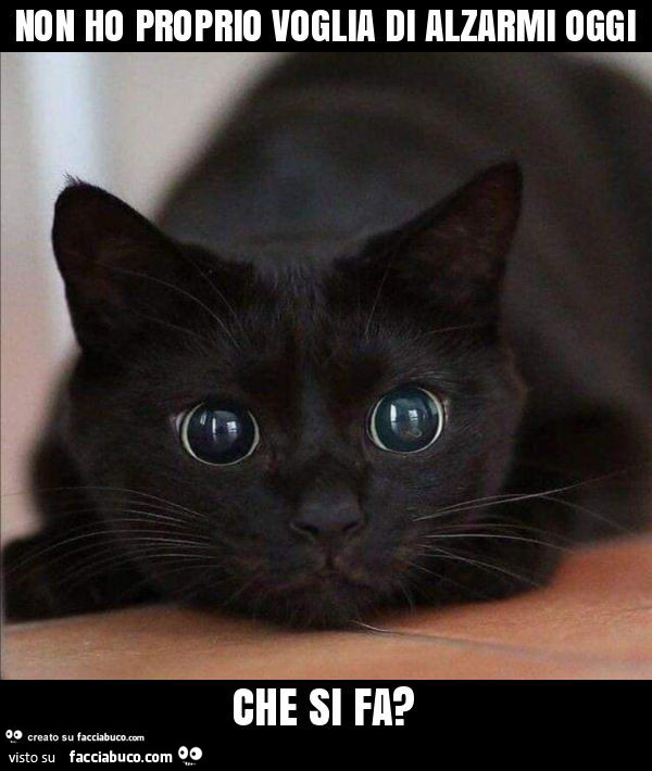 Non ho proprio voglia di alzarmi oggi che si fa?