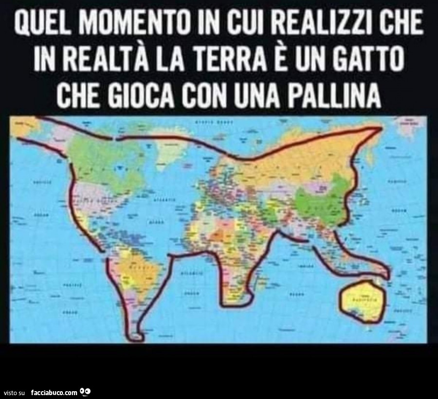 Quel momento in cui realizzi che in realtà la terra è un gatto che gioca con una pallina