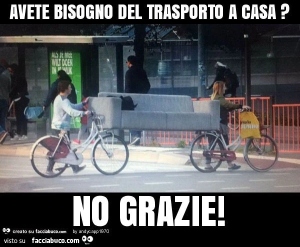 Avete bisogno del trasporto a casa? No grazie