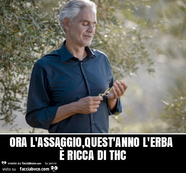 Ora assaggio, quest'anno l'erba è ricca thc