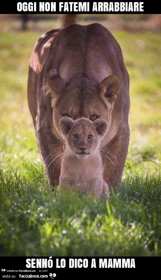 Oggi non fatemi arrabbiare sennó lo dico a mamma
